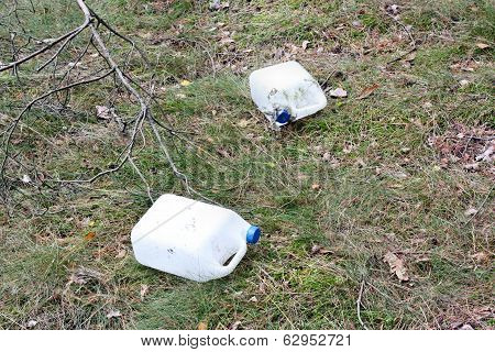 Wild Dump Forest
