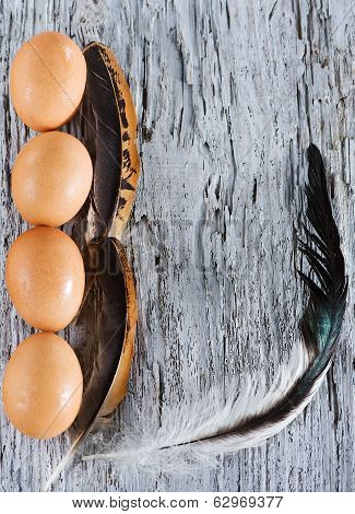 Eggs And Feather On The Old Wood