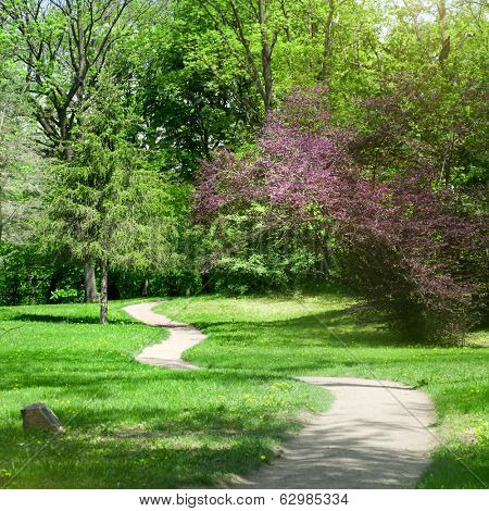 green park in spring