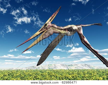 Pterosaur Pteranodon