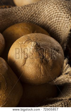 Raw Organic Brown Jicama
