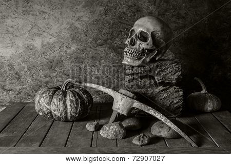 Still Life Skull and pumpkin on the timber.