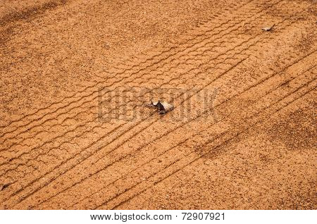 Tire Mark In Laterite.