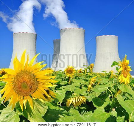 Nuclear power plant