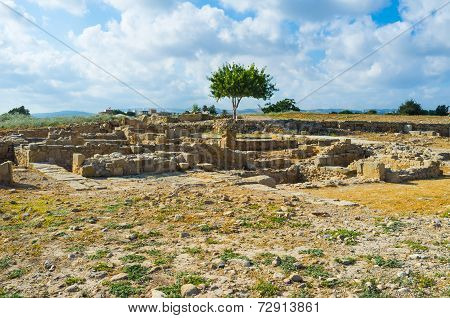 The Old Stones
