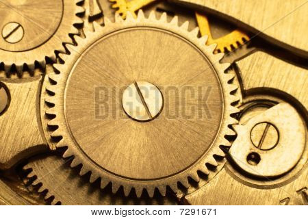 Gear