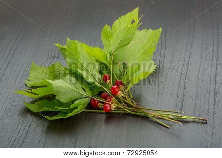 Stone Bramble