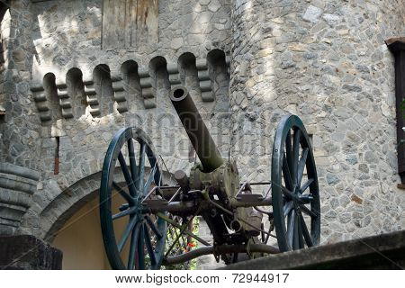 Peles Castle Infanteria Gun