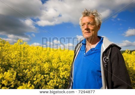 Paesaggio con uomo anziano nel seme di Cole