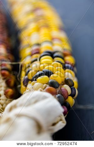Flint Corn