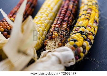 Flint Corn