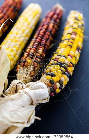 Flint Corn