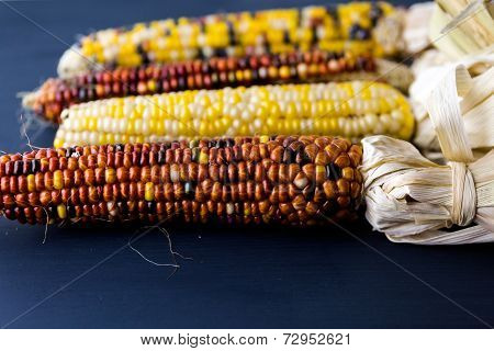 Flint Corn