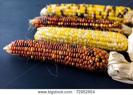 Flint Corn