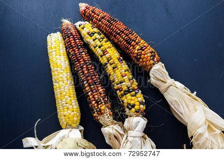 Flint Corn