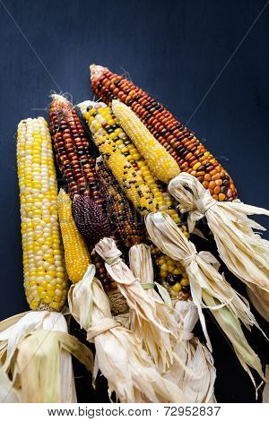 Flint Corn