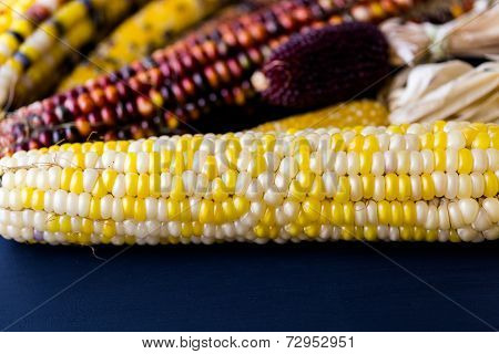 Flint Corn