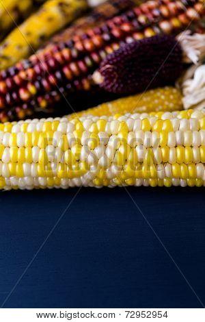 Flint Corn