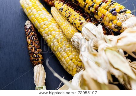 Flint Corn