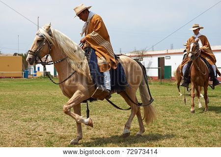 Paso Horses and Riders
