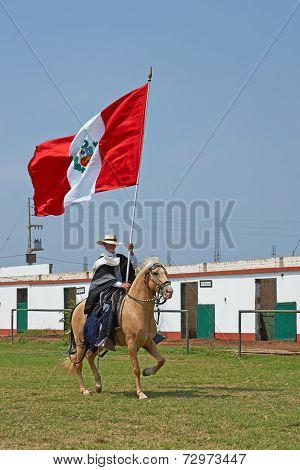 Peruvian Paso Horse and Flag