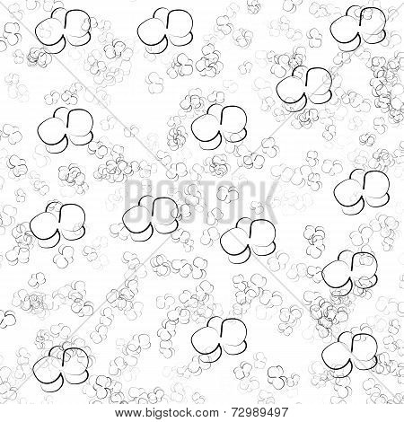 Illustration / Black Orchid