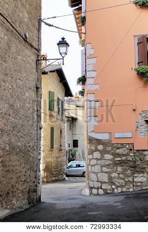 cecina