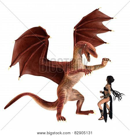 Lady And Dragon