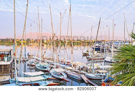 The Colorful River