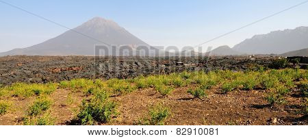 Farmland At 