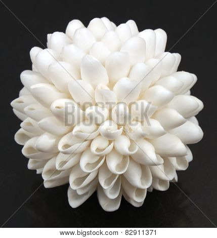 White Seashell Ball