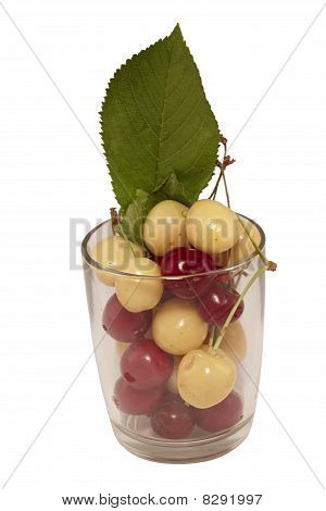 Třešeň 2
