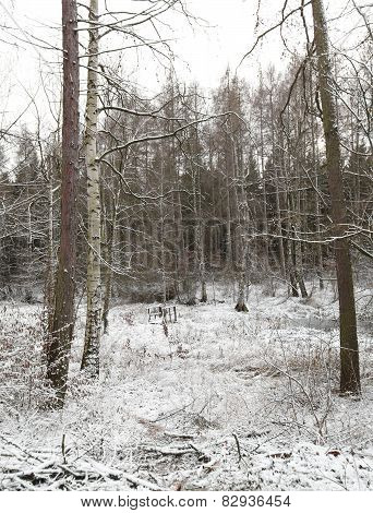 Frozen Lake With Bridge