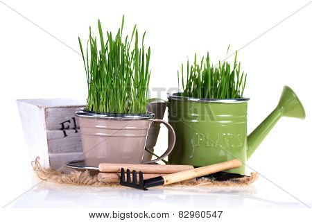 Gardening Concept.