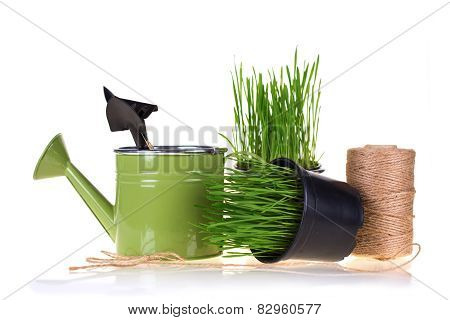 Gardening Concept.