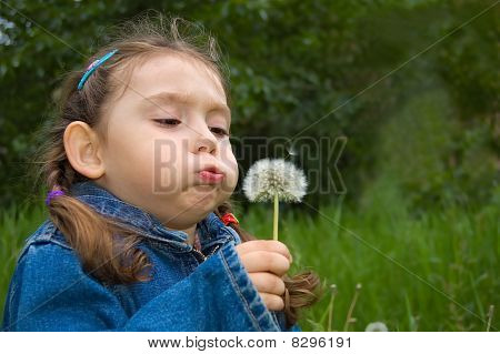 Dziewczynka dmuchanie Dandelion