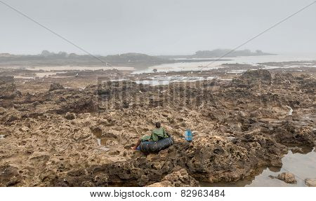 Sea Gull Flying Across A Rocky Bottom During Low Tide
