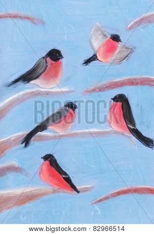Bullfinches On Tree Branches In Winter