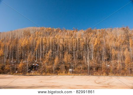 Grassland autumn scenery in China