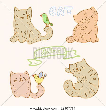 Cats