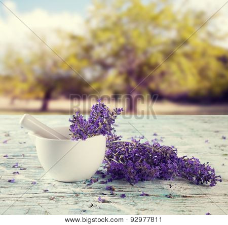 Harvested lavender flowers on wooden planks, blur landscape on background