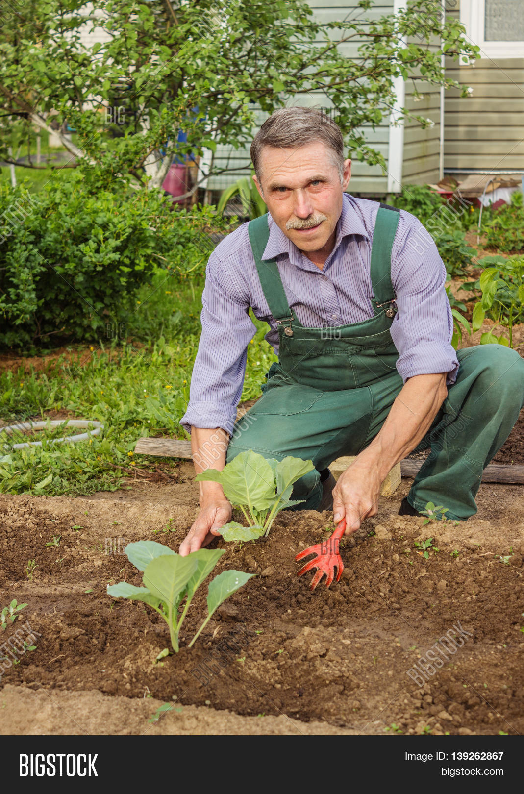 Окучивание томатов. Грядка для огурцов. Окучивание огурцов. Огурцов окучивают. Выращиваем огурцы в бочке.