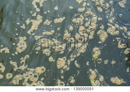 Black polluted water with green poisoning bubbles.