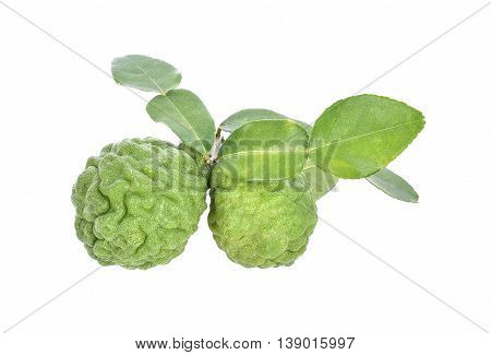 kaffir lime with leaf isolate on white background