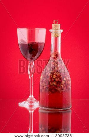 Handmade tincture made from wild strawberries sugar and vodka on a red background close up