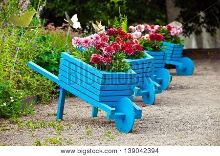 Background of garden design. Landscaping in park with blue handmade carts decorated with flowers