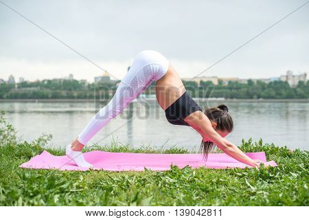 Fit woman doing asana exercise downward facing dog adho mukha svanasana.