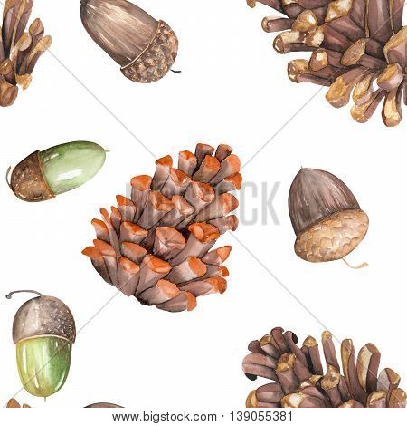 A seamless pattern with a floral ornament of the watercolor forest oak acorns and fir cones on a white background