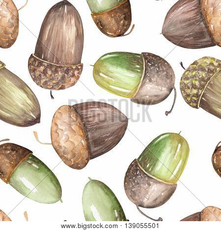 A seamless pattern with a floral ornament of the watercolor forest oak acorns on a white background