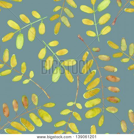Seamless pattern with watercolor acacia tree branches, hand drawn isolated on a dark blue background